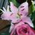 Mary Huerta's profile image