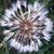 Victoria Jordan Lockett's profile image