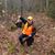 David Mcphail's profile image