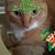 Ashley Rose Cleaver's profile image