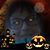 Linda Manthei-Siewert's profile image