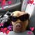 Shannon Marie's profile image