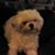 Karen Majors's profile image
