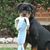 Paula Anselmo's profile image