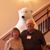 Joyce Swartz's profile image