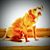 Hound Hobbs's profile image