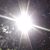 Lori Duran's profile image