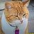 Joanne Pike's profile image