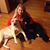 Brittany Michelle Weaver's profile image