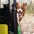 Tripp Kingree's profile image