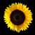 Mirda Smothers's profile image