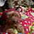 JoAnne Schaefer Sotello's profile image