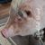 Susan Hulbert Benner's profile image
