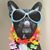 Nancy Jonietz Dietz's profile image