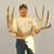 Jerone Olguin's profile image