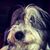 Enrique Peniche's profile image
