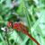 Nancy Pickard Hicks's profile image