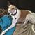 Erica Anderson's profile image