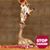 Vonda Brashear's profile image