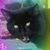 Kitty Drift's profile image