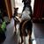 Ginger Yackel Jurkiewicz's profile image