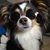 Ettel Edshteyn's profile image