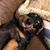 Penny Postlethwait's profile image