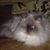 Mechelle Johnson Riley's profile image