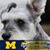 Chell Schneider's profile image