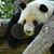 Nancy Gocke's profile image