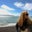 Lindsey Pogue's profile image