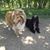 Lorraine Jones's profile image