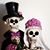 Elizabeth Colmenares's profile image