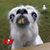 Sandie Davis's profile image