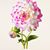 Janie Atkinson's profile image