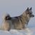 Brenda Lynn Olson's profile image
