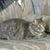 Patricia King's profile image
