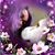 Kay Bee Ell's profile image