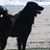 Nancy Jordan's profile image
