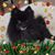 Dianne Fry's profile image