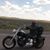 Ann King-Hinojosa's profile image