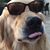 Lorette Moreno's profile image