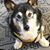 Jane Renn Rosenbarger's profile image