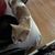 Chrissy Millican's profile image