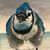 Joseph Murray's profile image