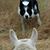 Nancy C. Hebb's profile image