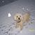 Ann McGaha Burleson's profile image