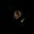 Cristin Trelease's profile image