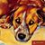 Karen Mazzarella's profile image