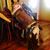 Tanya Prantl's profile image